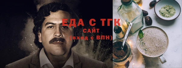 индика Кинешма