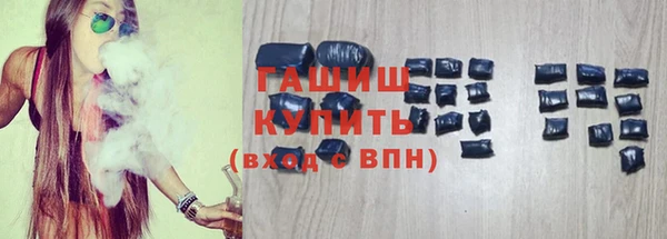 индика Кинешма