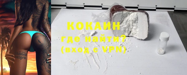 индика Кинешма