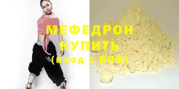 индика Кинешма