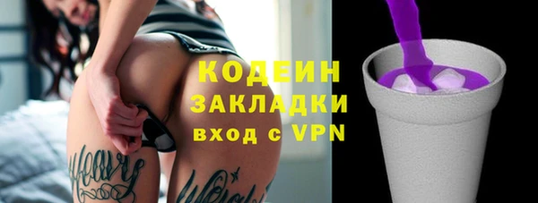 индика Кинешма