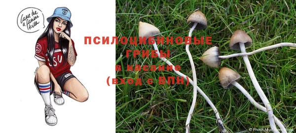 mix Киренск