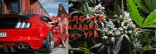 индика Кинешма