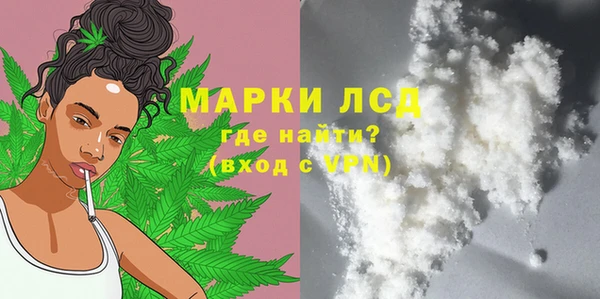 индика Кинешма