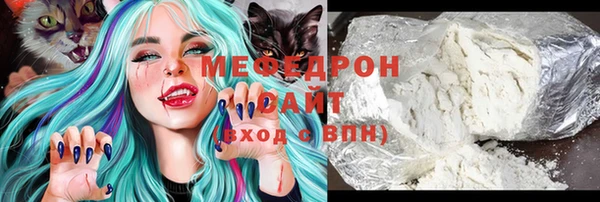 индика Кинешма