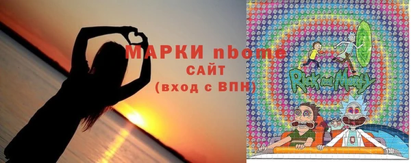 индика Кинешма