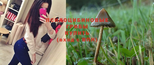 альфа пвп Киреевск