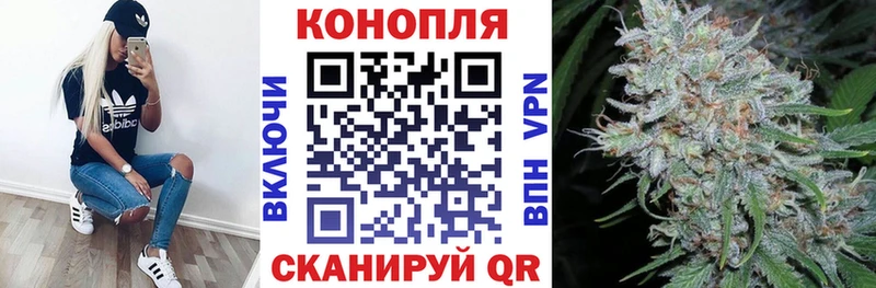 Бошки Шишки семена Белорецк